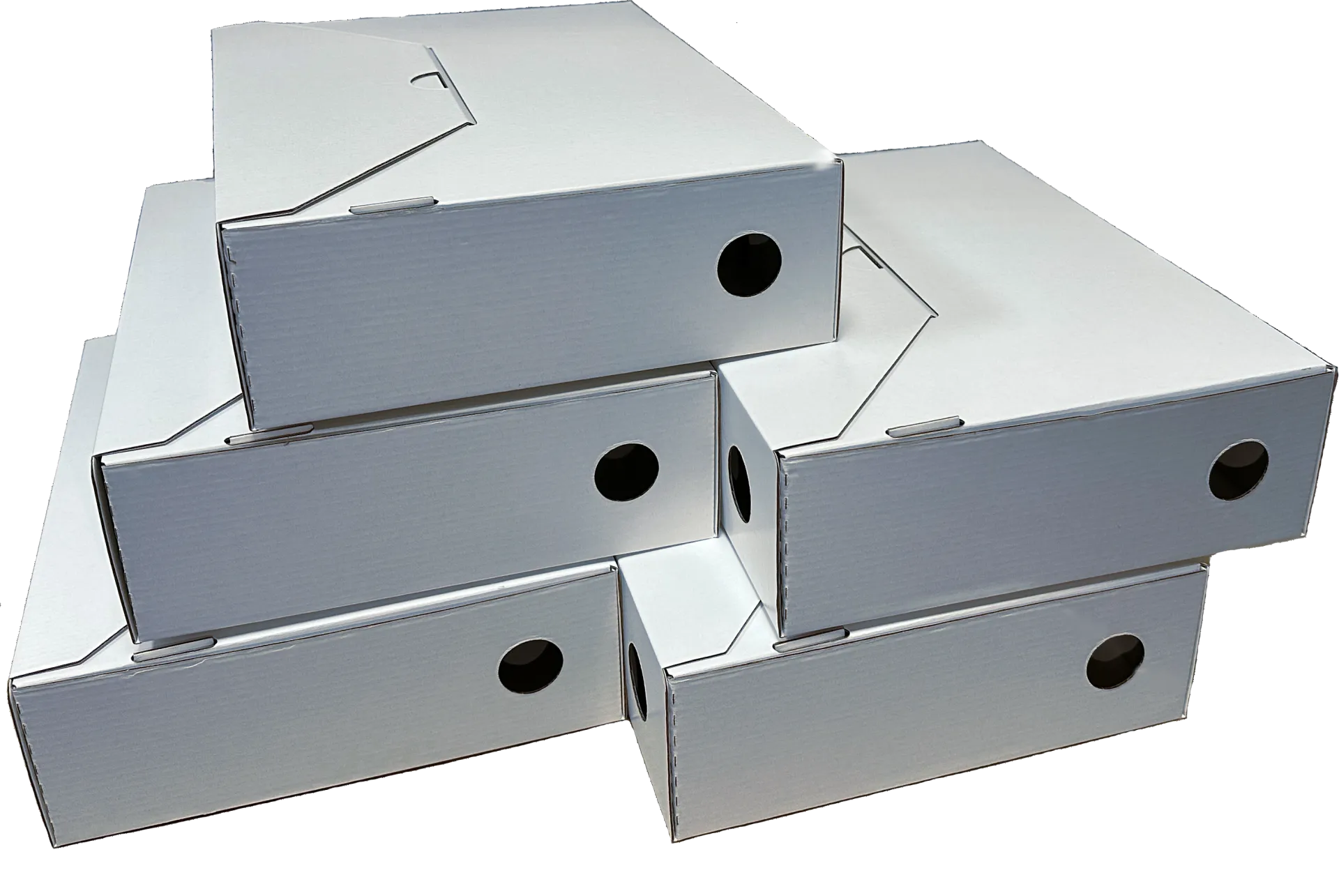 Niestardowowe projekty