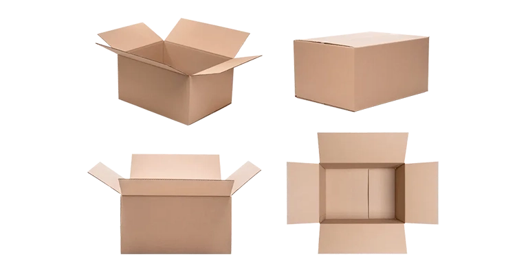 category-catalog-d-1