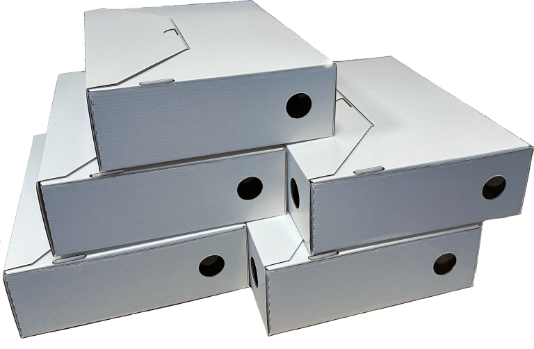 niestardowowe-projekty.1_f